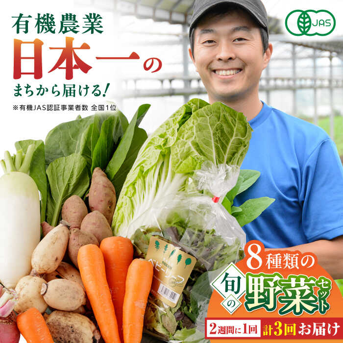 【ふるさと納税】【全3回隔週定期便】有機野菜 8種セット 野菜 詰め合わせ 熊本県産 山都町産 産地直送 オーガニック【株式会社 肥後やまと】[YAF010] 26000 26,000 26000円 26,000円