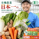 【ふるさと納税】【全3回隔週定期便】有機野菜 8種セット 野菜 詰め合わせ 熊本県産 山都町産 産地直送 オーガニック【株式会社 肥後やまと】[YAF010] 26000 26,000 26000円 26,000円