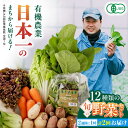 【ふるさと納税】【全2回隔週定期便】有機野菜 オーガニック 12種セット 野菜 有機JAS認定 詰め合わせ オーガニック野菜 熊本県産 産地..