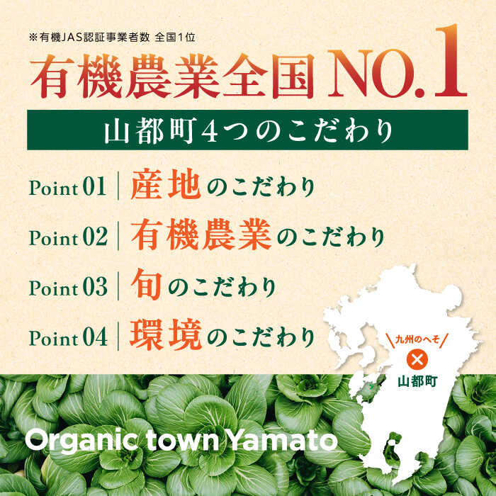 【ふるさと納税】【全4回隔週定期便】【令和5年産】有機米 2kg 旬の野菜 5種セット 野菜 米 コメ こめ 有機JAS認定 熊本県産 オーガニック野菜 山都町産 産地直送 熊本直送【株式会社 肥後やまと】[YAF017] 48000 48,000 48000円 48,000円