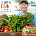 【ふるさと納税】【全4回隔週定期便】有機野菜 オーガニック 