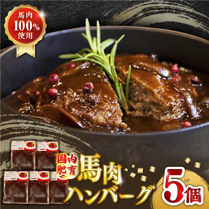 国内肥育 冷凍 馬肉ハンバーグ 計1kg ( 200g × 5個 ) デミグラスソース入り 小分け 個包装 惣菜 湯煎 熊本【有限会社 丸重ミート】[YAK012] 12000 12,000 12000円 12,000円