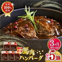 【ふるさと納税】【全3回定期便】国内肥育 冷凍 馬肉ハンバーグ 計1kg ( 200g × 5個 ) デミグラスソース入り 小分け 個包装 惣菜 湯煎 熊本【有限会社 丸重ミート】[YAK025] 35000 35,000 35000円 35,000円