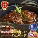 28位! 口コミ数「0件」評価「0」【全6回定期便】国内肥育 冷凍 馬肉ハンバーグ 計1kg ( 200g × 5個 ) デミグラスソース入り 小分け 個包装 惣菜 湯煎 熊本･･･ 