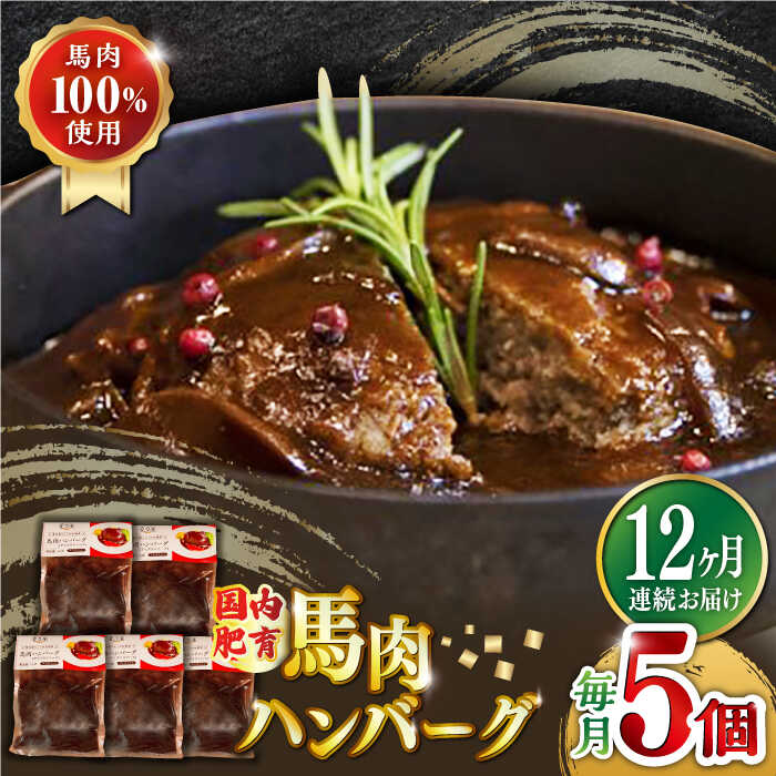 【ふるさと納税】【全12回定期便】国内肥育 冷凍 馬肉ハンバーグ 計1kg ( 200g × 5個 ) デミグラスソー..