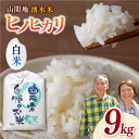 山間地 湧水米 ヒノヒカリ 白米 9kg コメ 米 こめ ひのひかり  20000 20,000 20000円 20,000円 2万円