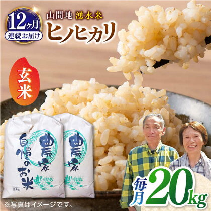 【全12回定期便】山間地 湧水米 ヒノヒカリ 玄米 20kg コメ 米 こめ ひのひかり 定期便 米定期便 【「のん気・元気」百姓家】[YAL012] 400000 400,000 400000円 400,000円 40万円