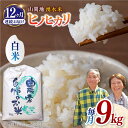 【ふるさと納税】【全12回定期便】山間地 湧水米 ヒノヒカリ 白米 9kg コメ 米 こめ 精米 ひのひかり 定期便 米定期便 【「のん気・元..