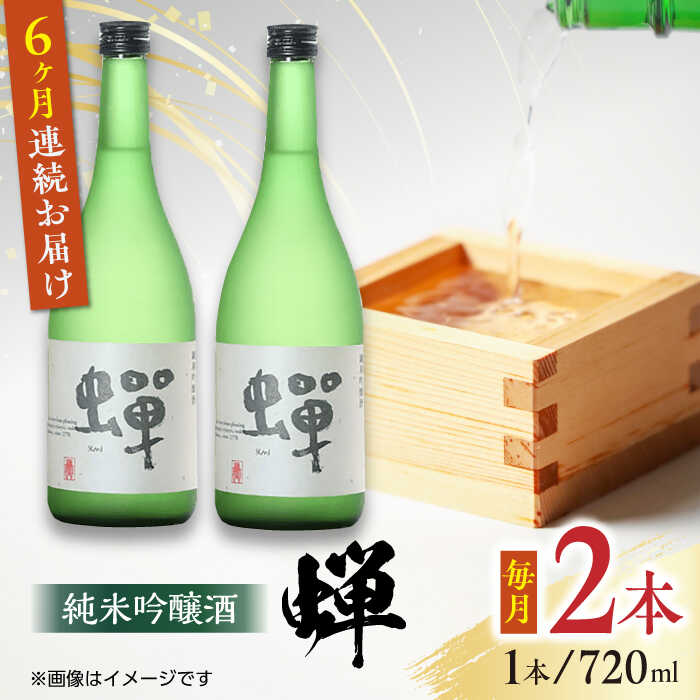 【ふるさと納税】【全6回定期便】純米吟醸酒 蝉 720ml×2 日本酒 熊本県産 山都町産 通潤橋 【通潤酒造..