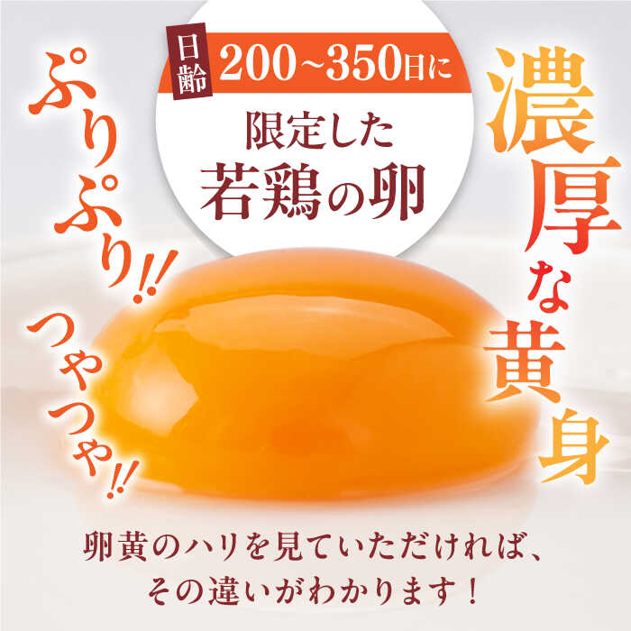 【ふるさと納税】【全12回定期便】蘇陽の月 30個入り ( 10個入り × 3パック ) 熊本県産 山都町 たまご 卵 玉子 タマゴ 鶏卵 オムレツ 卵かけご飯 朝食 料理 人気 卵焼き【蘇陽農場】[YBE020]