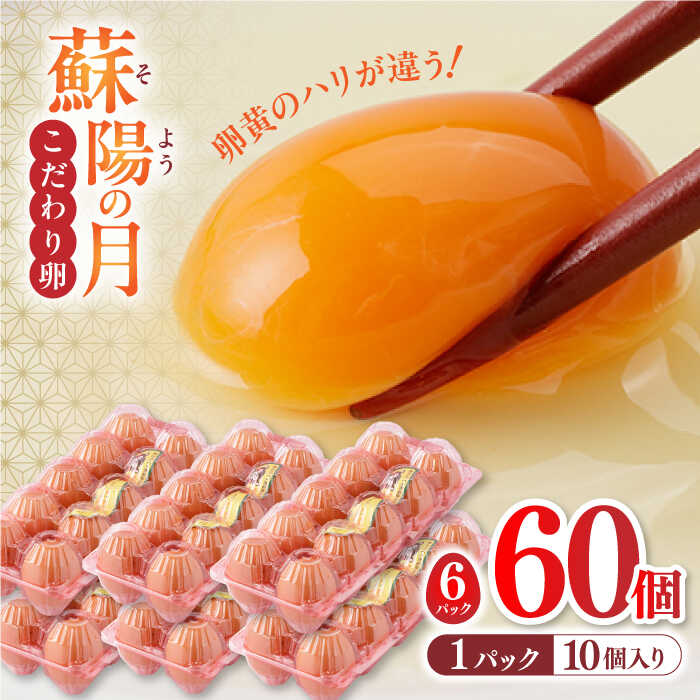 12位! 口コミ数「0件」評価「0」蘇陽の月 60個入り ( 10個入り × 6パック ) 熊本県産 山都町 たまご 卵 玉子 タマゴ 鶏卵 オムレツ 卵かけご飯 朝食 料理 ･･･ 