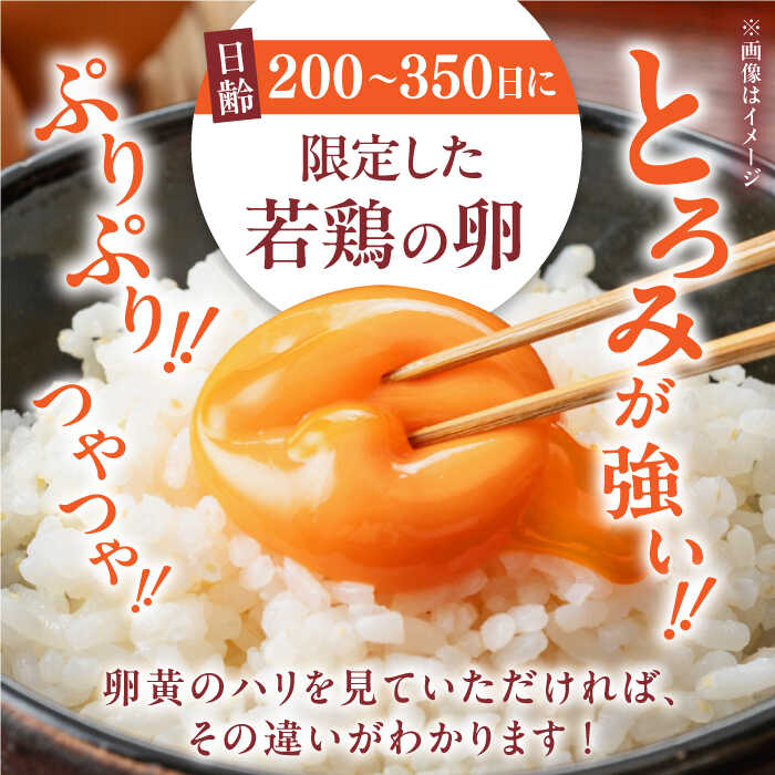 【ふるさと納税】【全6回定期便】熊本そだち 30個入り ( 10個入り × 3パック ) 熊本県産 山都町 たまご 卵 玉子 タマゴ 鶏卵 オムレツ 卵かけご飯 朝食 料理 人気 卵焼き【蘇陽農場】[YBE031]