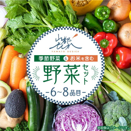 山都でしか野菜セット【株式会社 山都でしか】[YBF001] 10000 10,000 10000円 10,000円 1万円