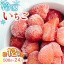 【ふるさと納税】【数量限定】 冷凍 いちご 計12kg ( 500g × 24P ) 農園直送 産地直送 熊本県産 山都町産 イチゴ 苺 ストロベリー フルーツ...