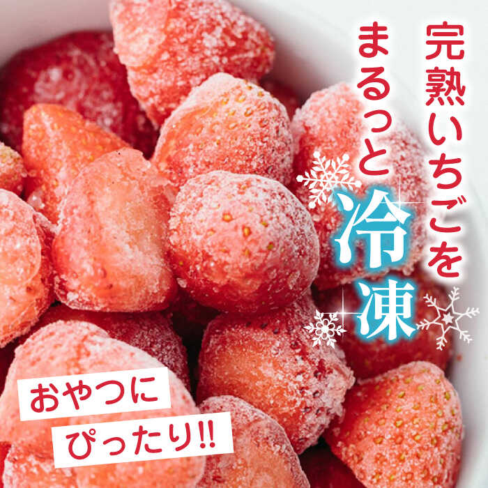 【ふるさと納税】【全3回定期便】【数量限定】 熊本県産 冷凍 いちご 計1.5kg ( 500g × 3P ) 農園直送 産地直送 熊本県産 山都町産 イチゴ 苺 ストロベリー フルーツ 果物 【なかはた農園】[YBI018] 30000 30,000 30000円 30,000円 3万円