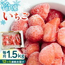 25位! 口コミ数「0件」評価「0」【全12回定期便】【数量限定】熊本県産 冷凍 いちご 計1.5kg ( 500g × 3P ) 農園直送 産地直送 熊本県産 山都町産 イチ･･･ 