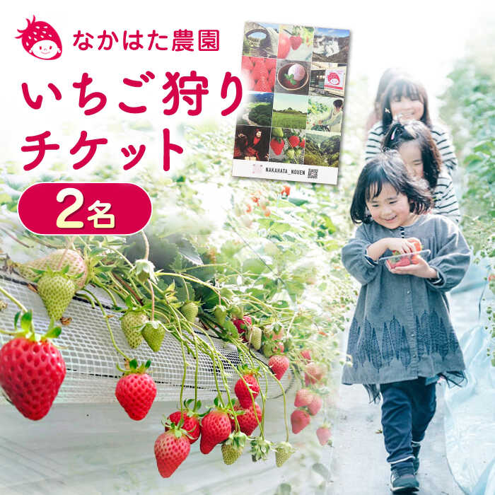 18位! 口コミ数「0件」評価「0」いちご狩りチケット 2名 体験 ペア 熊本 山都町 産地直送 熊本県産 山都町産 いちご イチゴ 苺 フルーツ 果物 【なかはた農園】[YB･･･ 