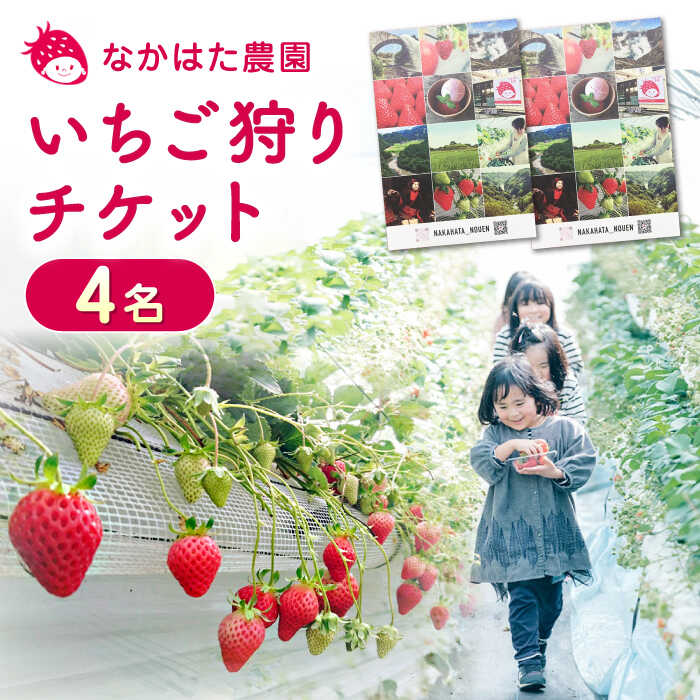 1位! 口コミ数「0件」評価「0」いちご狩りチケット 4名 体験 熊本 山都町 農園直送 産地直送 熊本県産 山都町産 いちご イチゴ 苺 ストロベリー フルーツ 果物 【な･･･ 