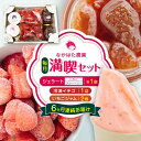 【ふるさと納税】【限定数量】【全6回定期便】なかはた農園セット ( 冷凍いちご 500g いちごジャム 1個 ジェラート 2種 × 1個 ) アイス 山都町産 ...