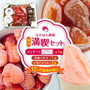 【ふるさと納税】【限定数量】【全12回定期便】なかはた農園セット ( 冷凍いちご 500g いちごジャム 1個 ジェラート 2種 × 1個 ) アイス 山都町産...
