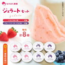 【ふるさと納税】【限定数量】【全12回定期便】熊本県産 いちご ブルーベリー ジェラート セット 計8個 ( 2種 × 各4個 ) アイス 熊本 山都町 九州産...