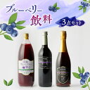 【ふるさと納税】ブルーベリー果汁 1000ml ブルーベリーワイン 720ml スパークリングワイン 750ml 各1本 3本 セット ブルーベリー ワイン 熊本 山都【社会福祉法人 御陽会 サポートハウス 明星学園】[YBM007] 22000 22,000 22000円 22,000円