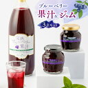 ブルーベリー果汁 1000ml & ジャム 2個 セット ブルーベリー 熊本 山都 10000 10,000 10000円 10,000円 1万円