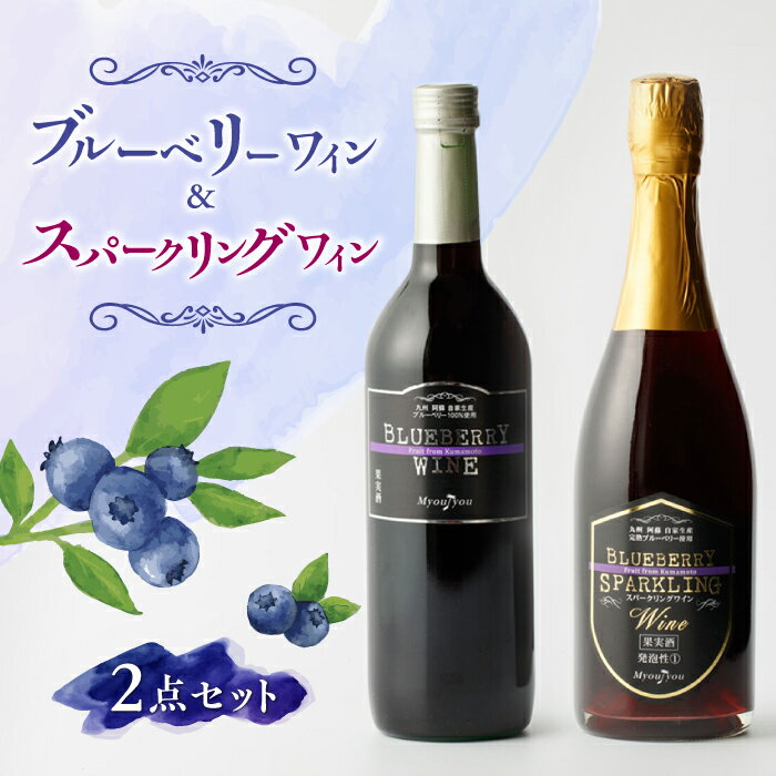 【ふるさと納税】【化粧箱入】スパークリングワイン 750ml ブルーベリーワイン 720ml 2本 セット【社会福祉法人 御陽会 サポートハウス 明星学園】[YBM009]のサムネイル