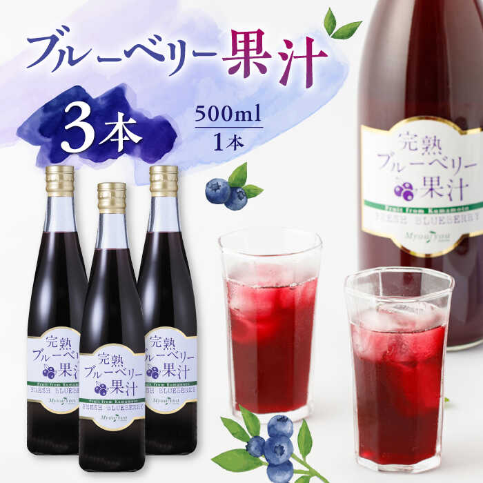 【ふるさと納税】ブルーベリー果汁 500ml 3本 ジュース