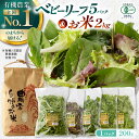 4位! 口コミ数「10件」評価「5」有機野菜 ベビーリーフ (200g×5パック) お米 2kg 計3kgセット 山都町産 産地直送 高原野菜 有機JAS認証取得【株式会社 清･･･ 