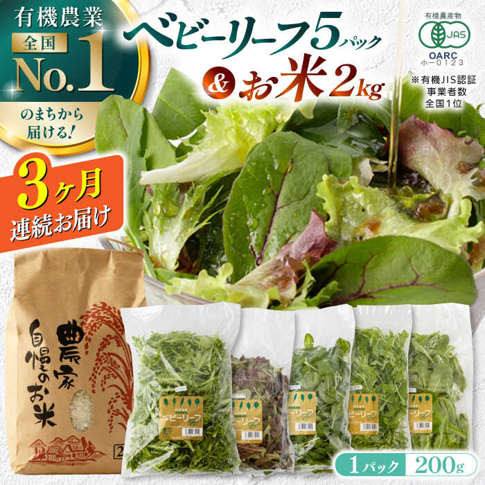 18位! 口コミ数「1件」評価「5」【全3回定期便】有機野菜 ベビーリーフ (200g×5パック) お米 2kg 計3kgセット 山都町産 産地直送 高原野菜 有機JAS認証取･･･ 