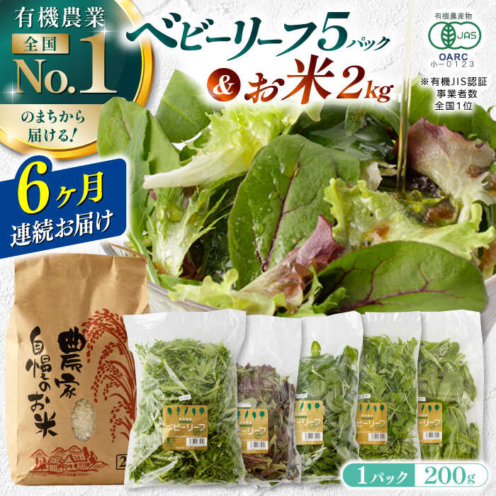 7位! 口コミ数「1件」評価「5」【全6回定期便】有機野菜 ベビーリーフ (200g×5パック) お米 2kg 計3kgセット 山都町産 産地直送 高原野菜 有機JAS認証取･･･ 