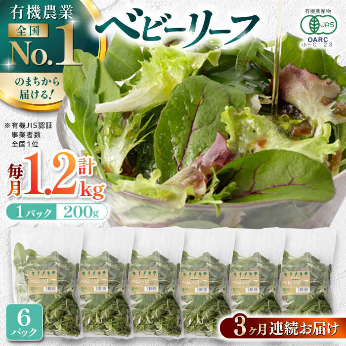 【ふるさと納税】【全3回定期便】 有機野菜 ベビーリーフ 計1.2kg (200g×6パック) 山都町産 産地直送 高原野菜 有機JAS認証取得【株式会社 清和ミネラル会】[YBT006]