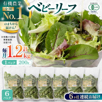 【全6回定期便】 有機野菜 ベビーリーフ 計1.2kg (200g×6パック) 山都町産 産地直送 高原野菜 有機JAS認証取得【株式会社 清和ミネラル会】[YBT007]