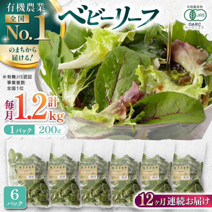 【ふるさと納税】【全12回定期便】 有機野菜 ベビーリーフ 計1.2kg (200g×6パック) 山都町産 産地直送 高原野菜 有機JAS認証取得【株式会社 清和ミネラル会】[YBT008]