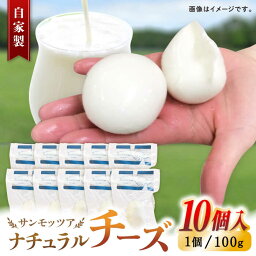 【ふるさと納税】自家製 ナチュラルチーズ サンモッツア 10個 ( 100g × 10個 ) / チーズ モッツァレラチーズ 乳製品 熊本 山都町【山の未来舎】[YBV009] 26000 26,000 26000円 26,000円