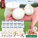 【ふるさと納税】【全6回定期便】自家製 ナチュラルチーズ サンモッツア 10個 ( 100g × 10個 ) / チーズ モッツァレラチーズ 乳製品 熊本 山都...