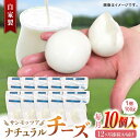 【ふるさと納税】【全12回定期便】自家製 ナチュラルチーズ サンモッツア 10個 ( 100g × 10個 ) / チーズ モッツァレラチーズ 乳製品 熊本 山...