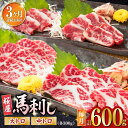 【ふるさと納税】【全3回定期便】馬刺し 2種 計600g (大トロ 中トロ)各300g 熊本 冷凍 馬肉 馬刺 刺身み おつまみ ジビエ ヘルシー 生姜つき 醤...