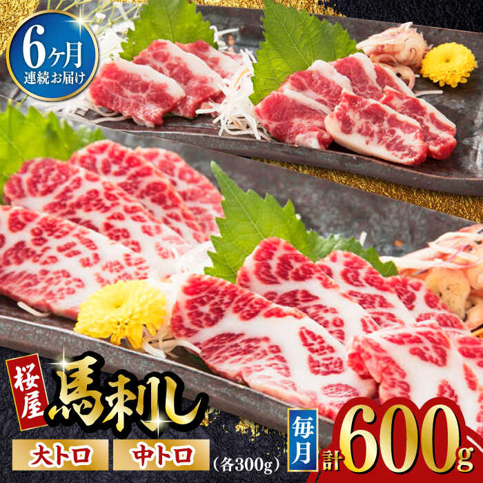 【ふるさと納税】【全6回定期便】馬刺し 2種 計600g (大トロ 中トロ)各300g 熊本 冷凍 馬肉 馬刺 ヘルシー【有限会社 桜屋】[YBW105]