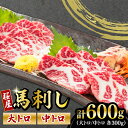 【ふるさと納税】馬刺し 2種 大トロ 中トロ 計600g 300g×2パック 熊本 冷凍 馬肉 馬刺 ヘルシー【有限会社 桜屋】[YBW061] 70000 70,000 70000円 70,000円 7万円