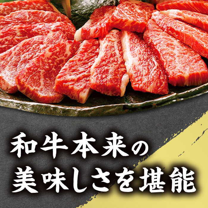 【ふるさと納税】【全3回定期便】熊本和牛 あか牛 焼肉用 400g やきにく 焼き肉 贅沢 GI認証 赤牛 褐牛 あかうし 褐毛和種 肥後 冷凍 国産 牛肉【有限会社 桜屋】[YBW099] 45000 45,000 45000円 45,000円