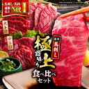 【ふるさと納税】国産 馬刺し 計500g ( 大トロ 200g 霜降り中トロ 300g ) 専用醤油付き 熊本 霜降り 中トロ 熊本県産 冷凍 馬肉 馬刺 ヘル...
