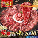 【ふるさと納税】【全6回定期便】【熊本肥育】熊本ならでは!霜降り馬刺しをたっぷり楽しむセット 500g 専用醤油付き 霜降り 中トロ 馬刺し 熊本 冷凍 馬肉 ...