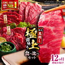 【ふるさと納税】【全12回定期便】国産 馬刺し 計約500g ( 大トロ 約200g 霜降り中トロ 約300g ) 専用醤油付き 熊本 霜降り 中トロ 熊本県産...