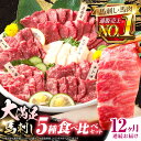 【ふるさと納税】【全12回定期便】熊本県産 馬刺し 計約410g ( 上赤身 霜降り中トロ 大トロ タテガミ ロース ) 専用醤油付 熊本 赤身 霜降り 中トロ...