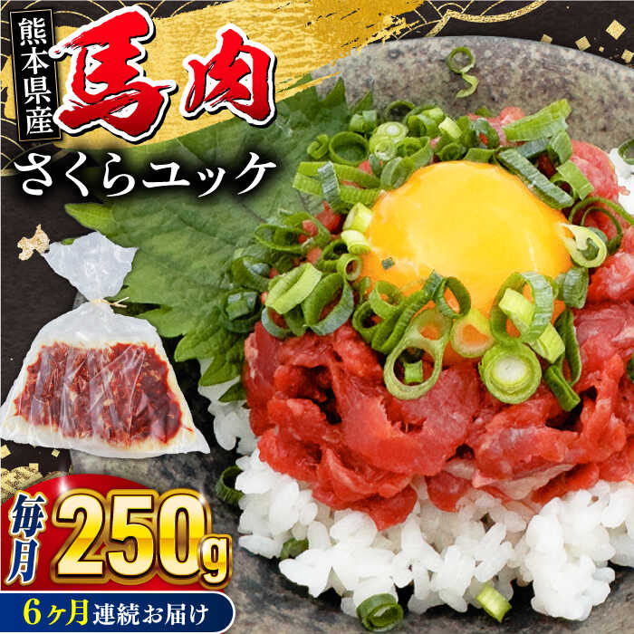 【ふるさと納税】【全6回定期便】馬肉さくらユッケ 250g ( 50g × 5 ) 小分け 熊本肥育 桜ユッケ 馬刺し..