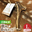 犬用 おもちゃ 鹿角かみかみ Lサイズ（ 大型犬用 ）/ 鹿 鹿角 ペット用品 歯磨き 熊本 山都町 5000 5,000 5000円 5,000円