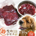 【ふるさと納税】【全6回定期便】犬用 鹿生肉 ジビエ 計1kg ( 100g × 10袋 ) / 鹿肉 ペット用品 ペットフード ドッグフード 小分け 熊..