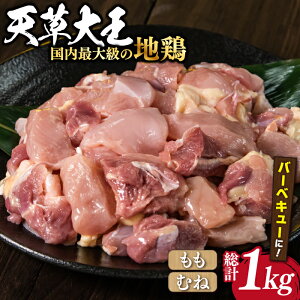 【ふるさと納税】【数量限定】熊本県産 天草大王 地鶏 バーベキュー用カット肉 計1kg 鶏肉 もも むね 国産 【あそ大王ファーム株式会社】[YCF004]